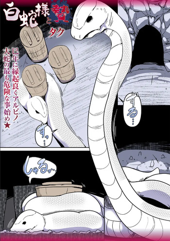 (Taku) Shirohebi-sama to ni e (COMIC Necrosis Vol. 28) cover