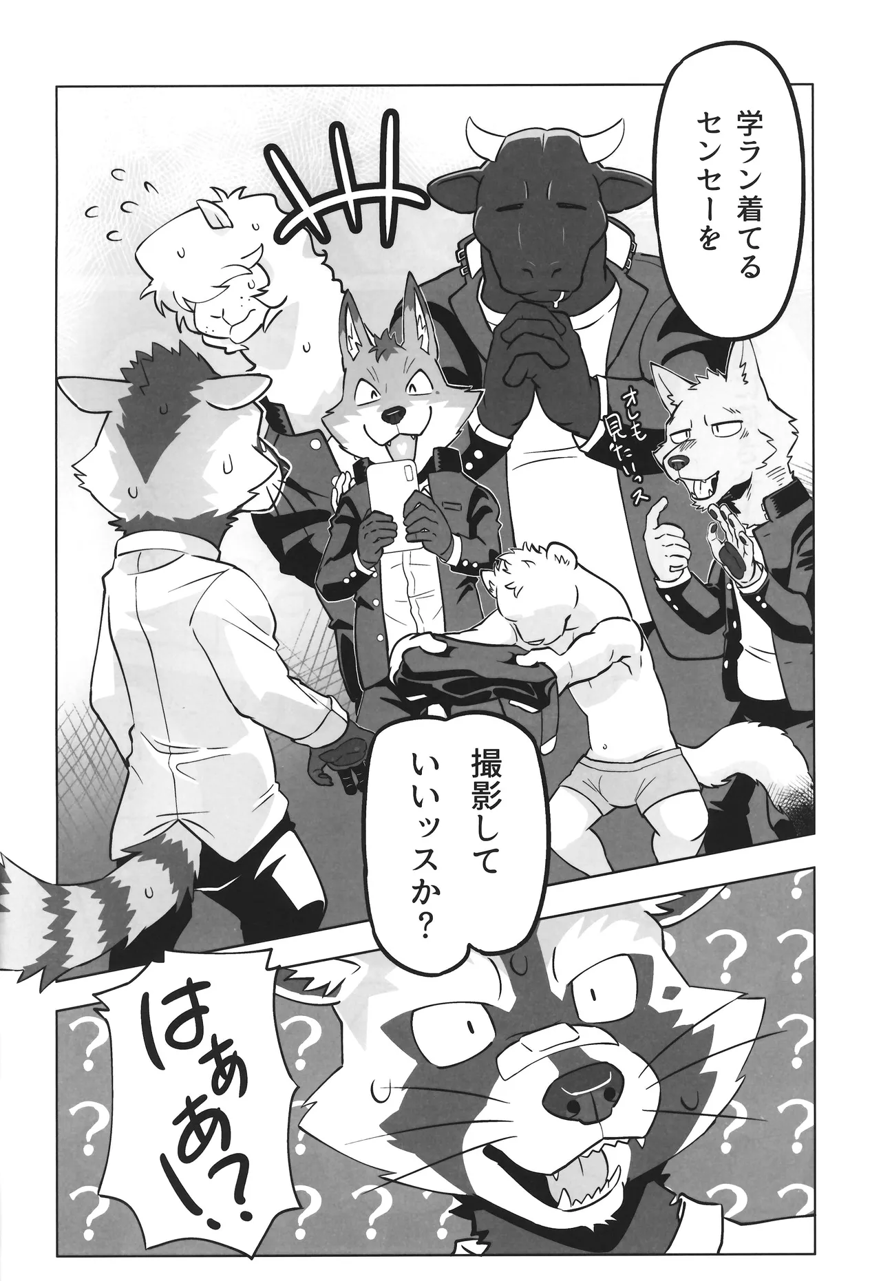 Complex Size page 5 full