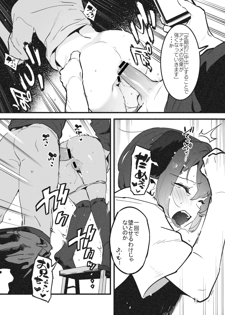 アナキメ1・・・これまでのまとめ page 11 full